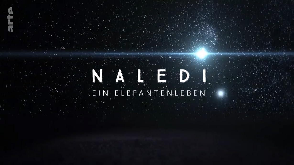 Naledi: A Baby Elephant' s Tale streaming ita