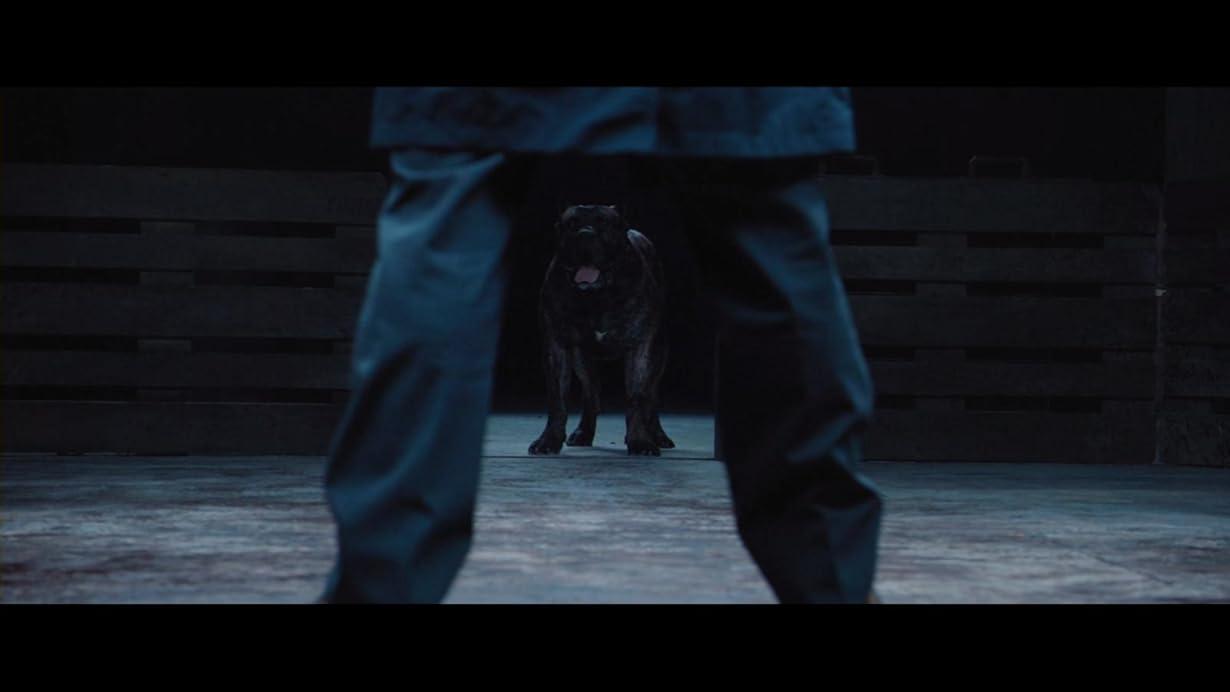Bullet Head streaming ita