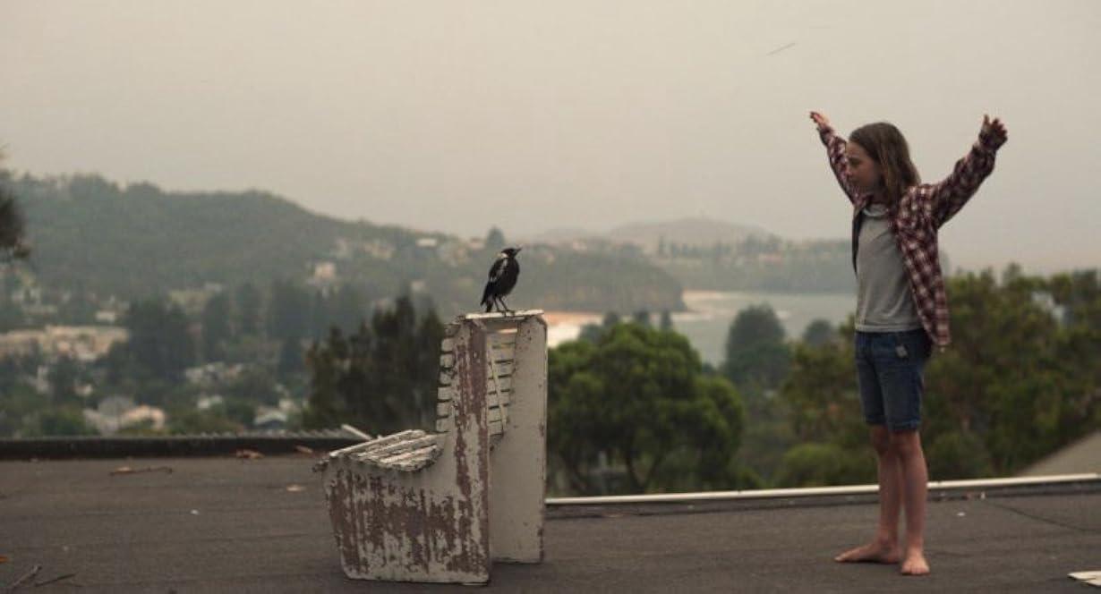 Penguin Bloom streaming ita