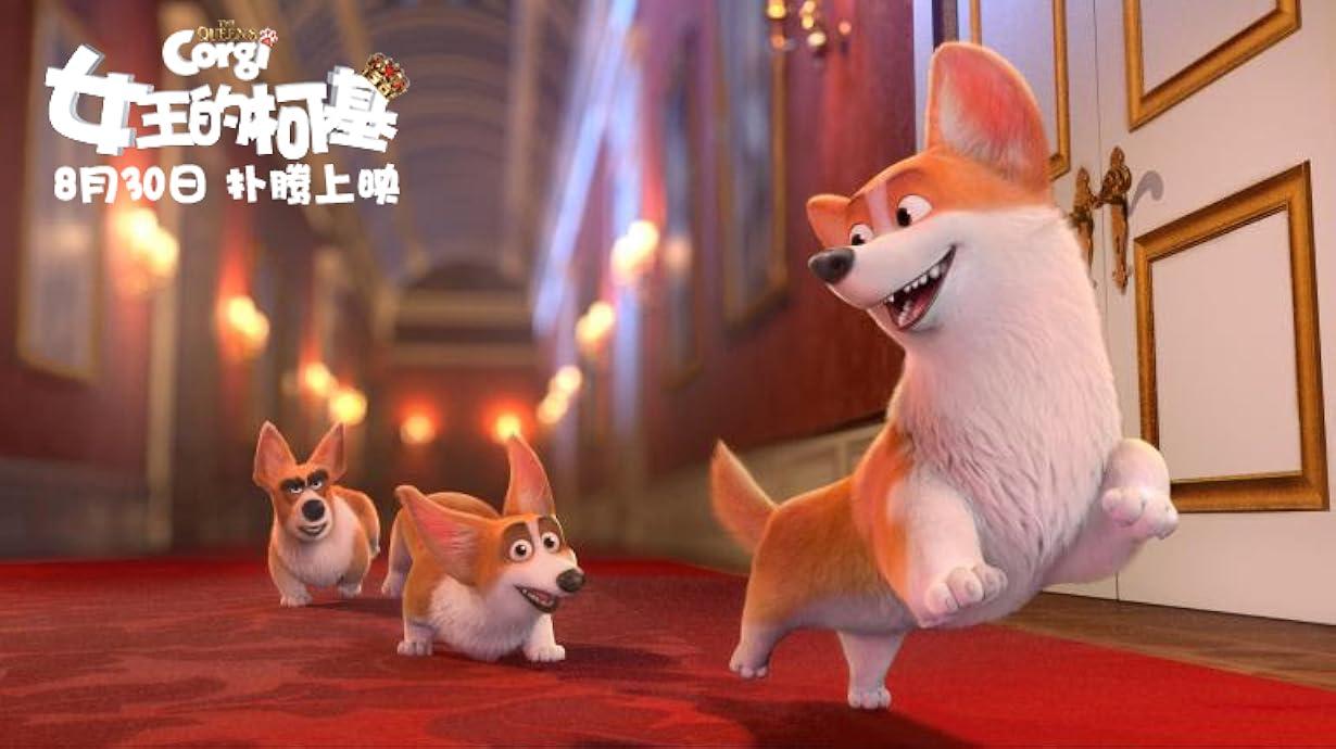 Rex - Un Cucciolo a Palazzo streaming ita