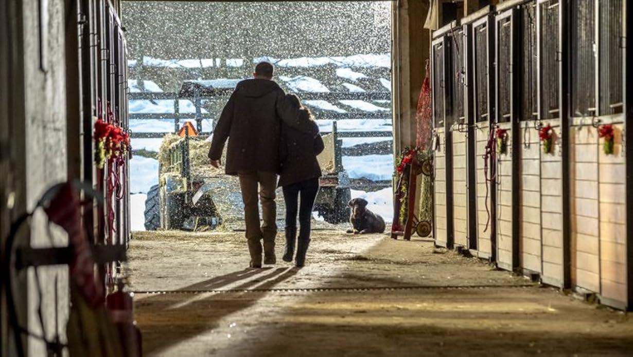 Un amore a distanza streaming ita