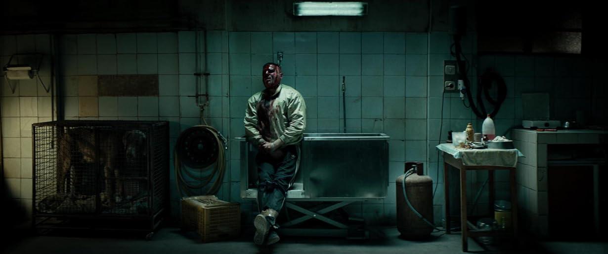 Dogman streaming ita