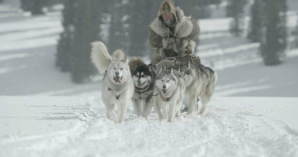 Balto e Togo - La leggenda streaming ita