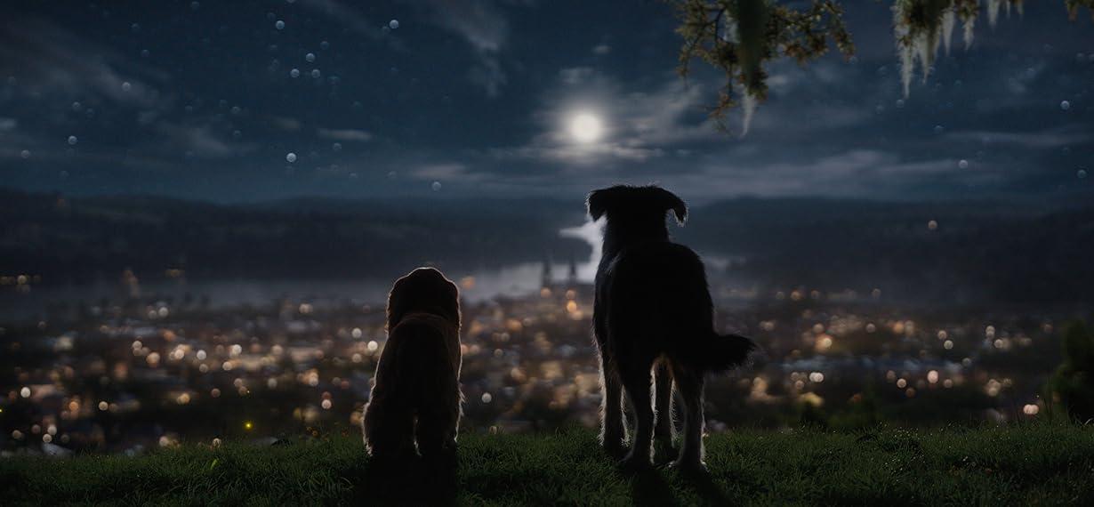 Lilli e il Vagabondo streaming ita