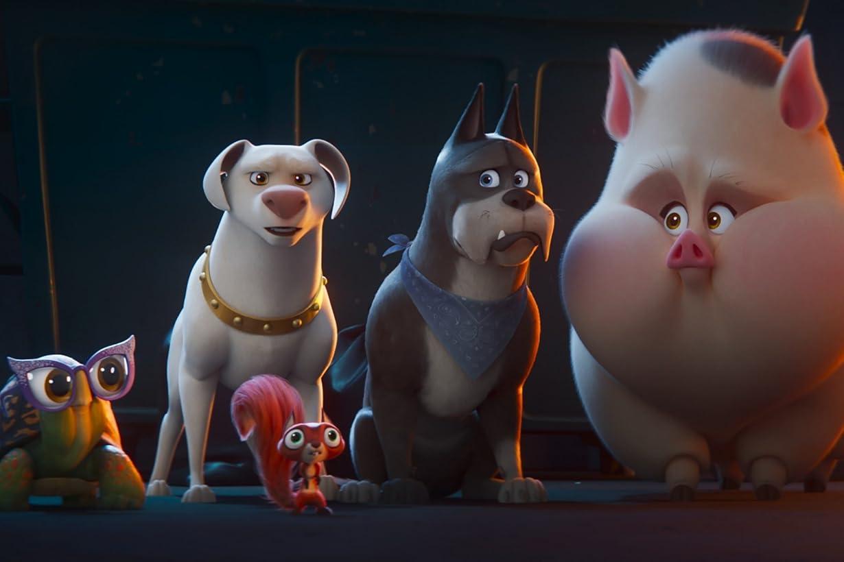 DC League of Super-Pets streaming ita